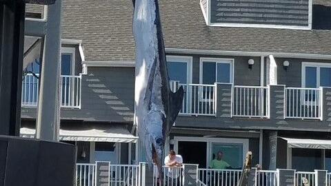 White Marlin Open expands to six-day format for 2026 tournament